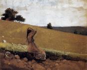 温斯洛 荷默 : The Green Hill aka On the Hill